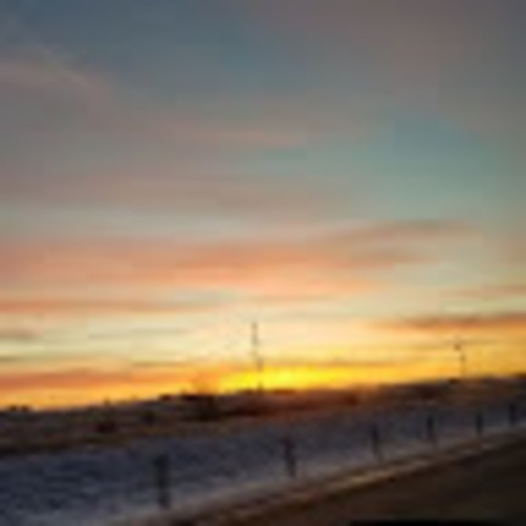 Meet your Posher, Tyler - Picture 1 of 1